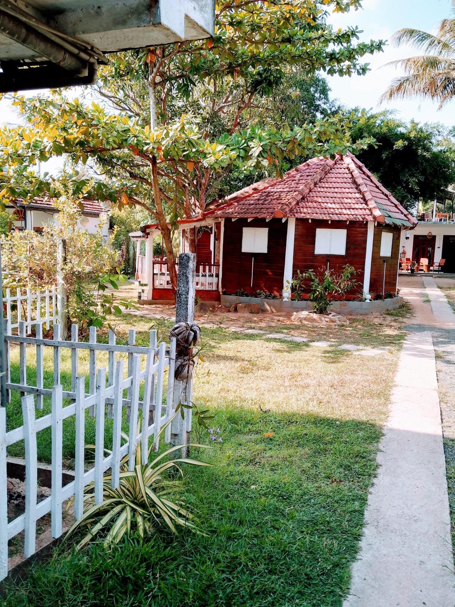 Area 51 Hotel Mirissa Exterior photo